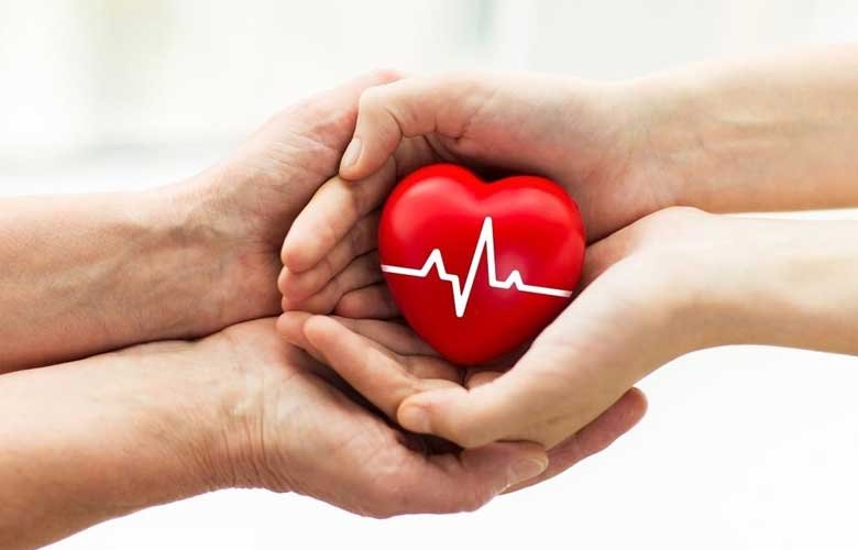 RASHTRADEEPAM, NEWS, KERALA, CINEMA, MALAYALAM, POLITICS, MEDIA, WESITE, ONLINE, DAILY, HEALTH