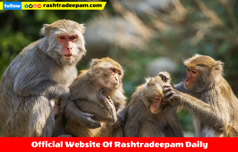 RASHTRADEEPAM, NEWS, KERALA,CINEMA,MALAYALAM,POLITICS,MEDIA, WESITE, ONLINE, DAILY