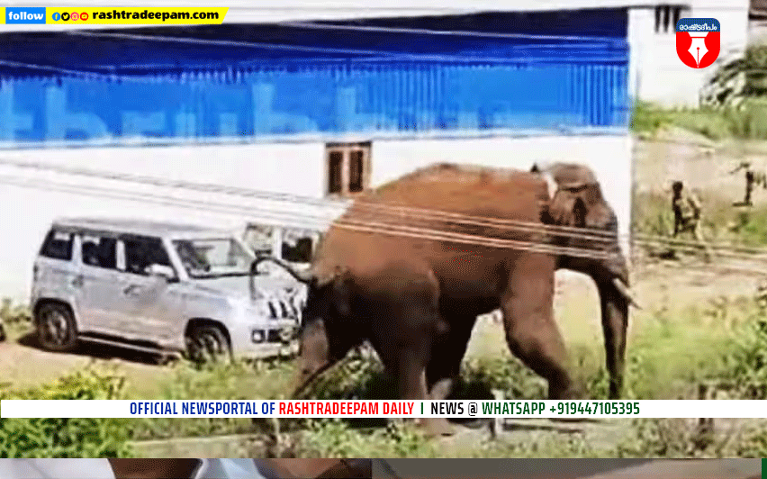 RASHTRADEEPAM, NEWS, KERALA,CINEMA,MALAYALAM,POLITICS,MEDIA, WESITE, ONLINE, DAILY
