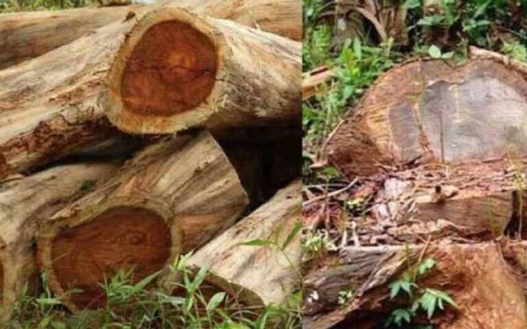 RASHTRADEEPAM, NEWS, KERALA,CINEMA,MALAYALAM,POLITICS,MEDIA, WESITE, ONLINE, DAILY